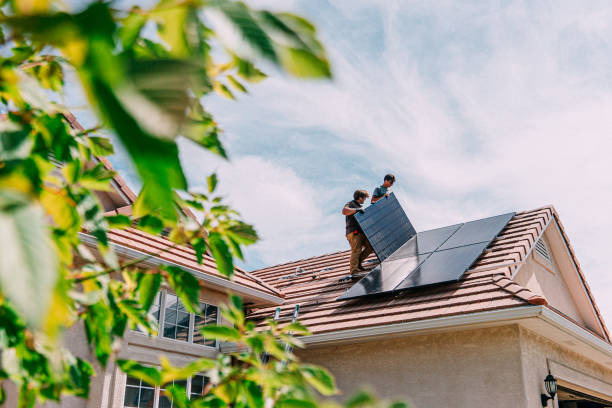 Best Roof Moss and Algae Removal  in Tellico Village, TN